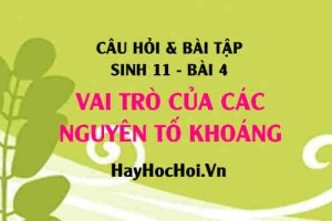 Câu hỏi và Bài tập Sinh 11 trang 24: Giải bài 1, 2 trang 24 SGK Sinh học 11 bài học 4